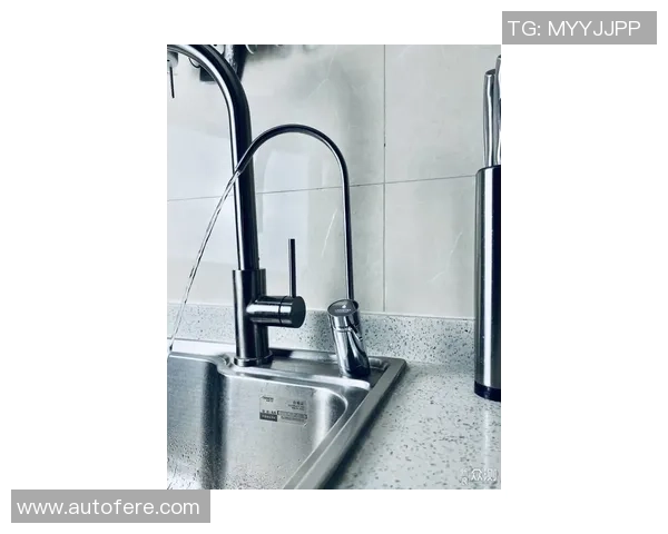 篮球装备选购指南：精选球拍推荐与使用技巧分享