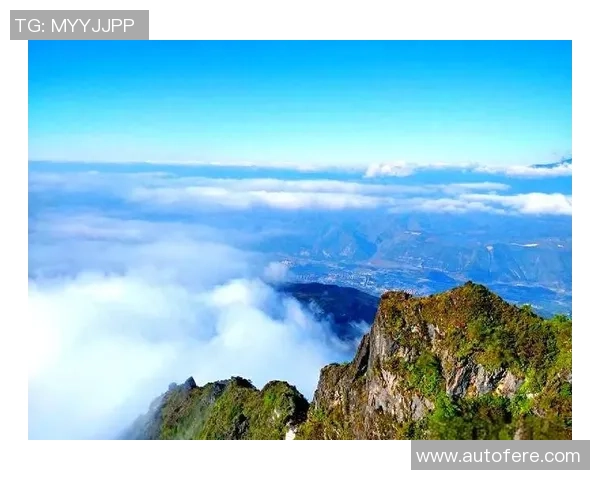 足球明星勇闯极限挑战赛场展现超凡实力与团队精神 足球明星勇闯极限挑战赛场展现超凡实力与团队精神